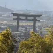 YUJIの画像
