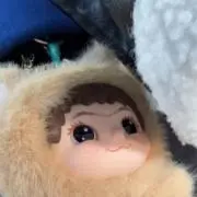 STの画像