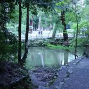 suniccaの画像