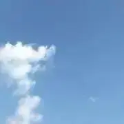 安く安心の画像