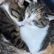 れみり