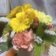 デブー