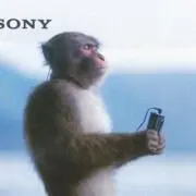 足の裏の画像