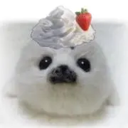 miiiの画像