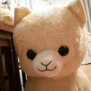 ともともやん★