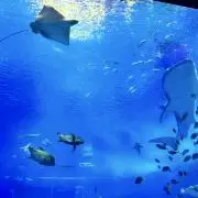 maaaaa12の画像