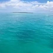 いくみの画像