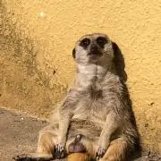 ららら
