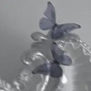 花の画像
