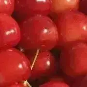 さくらんぼ
