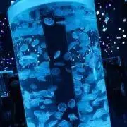 はかぜの画像