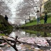 マルズキ