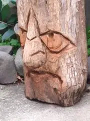 まっことの画像