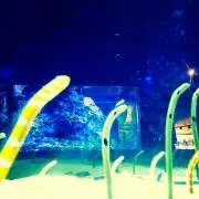 みんの画像