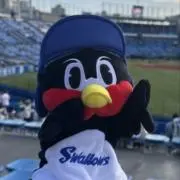 あんの画像