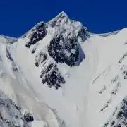 はまぐりの画像