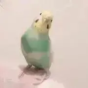 ポピちゃん♪の画像