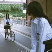 ひかりの画像