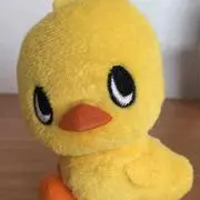 nicoの画像