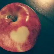 ハルの画像