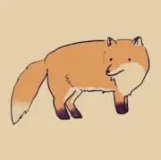 暁こかげの画像