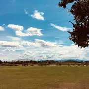 ユウキの画像