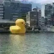 ママニアの画像