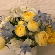 cocominの画像