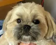 まる