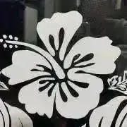 HGVKの画像