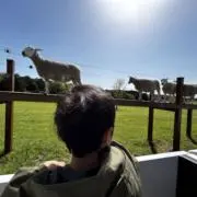 まちの画像