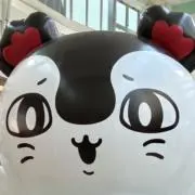 Rの画像