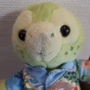 にゃんた(プロフ一読願います)の画像