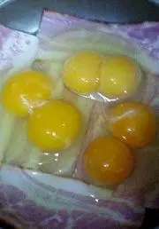 豆柴の画像