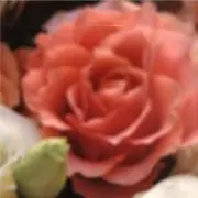 スマイルの画像