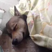 髙橋の画像