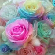 Image of SS…☆