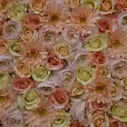 ★eye☆の画像