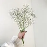 skの画像