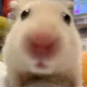 R✧︎の画像