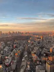 フェリックスの画像