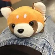 つぁーなの画像