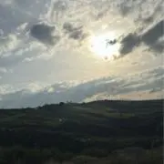 はれの画像