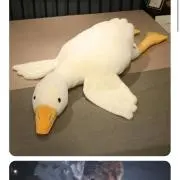 Kオタ引退のんにゅの画像