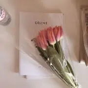 cocoの画像