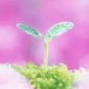 めいはー・プロフ必読して下さい
