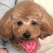 さくらママ