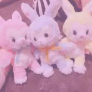 みんと♪断捨離中の画像