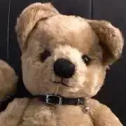 プルメリア