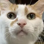 こうママの画像